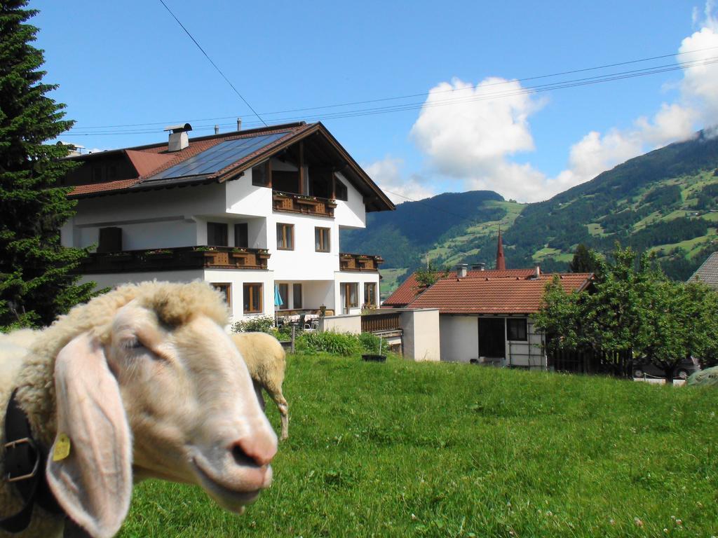 Gastehaus Treichl Hotel Fügen Buitenkant foto